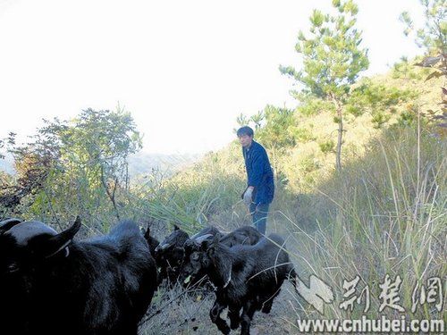 춼бѶ ԼȺ ͨѶԱ ¡